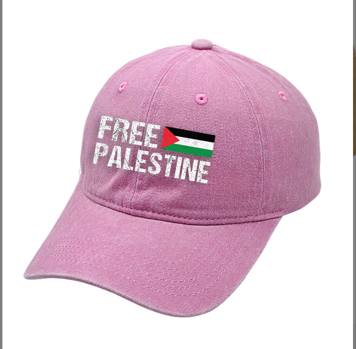 Palestine Cap